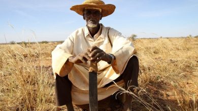Africa: The response to the climate crisis does not match the ‘scale of the challenge’ |