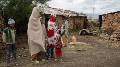 The impact of Tigray’s airstrikes on civilians ‘absolutely shocking’: UN rights chief |
