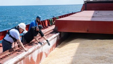 Black Sea Initiative exports top 30 million tons from Ukraine, as talks continue on renewal