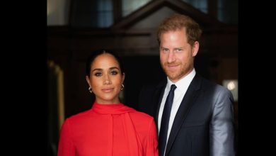 A typical working day for Prince Harry and Meghan Markle looks like this |  World news