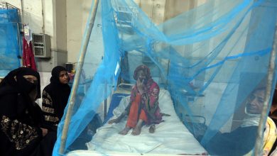 Pakistan: Dengue outbreak worsens, cases exceed 30,000 this year |  World news