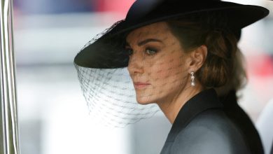 This is Kate Middleton’s master plan to unite Prince William and Prince Harry  World news