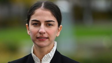 Sweden hires 26-year-old climate minister in new government |  World news