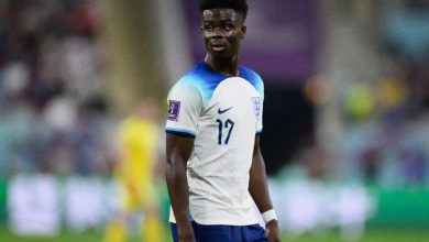 Arsenal at the World Cup today: The Gunners face an important battle as Cody Gakpo searches for the last-16