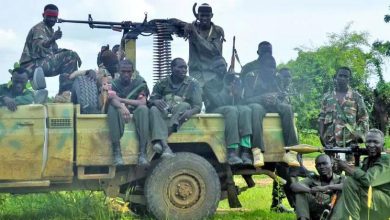 The return of tribal fighting in the Blue Nile region of Sudan is causing death and destruction |