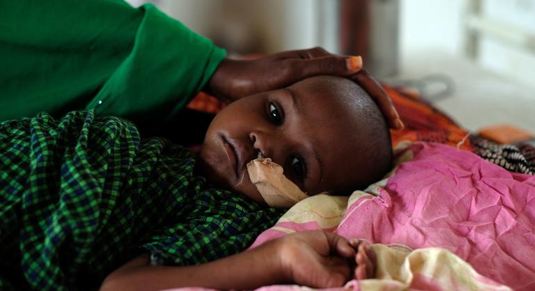 Humanitarians call for greater support to prevent famine in the Horn of Africa