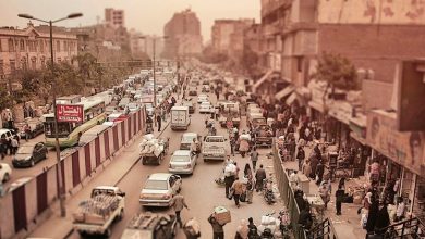 Egypt: Rights chief calls for immediate release of blogger and activist |