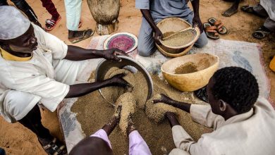 The UN official called on the Security Council to support ‘security, peace and Sahel prosperity’ |