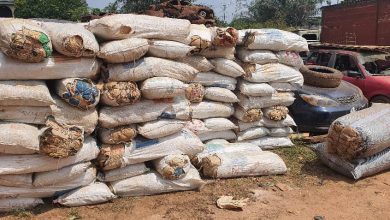 NDLEA Arrests Wanted Kingpin, Another Saudi-Bound Trafficker With Cocaine In Sandals