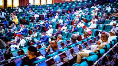 Reps Want Payments For Customs’ IT Solutions Stopped