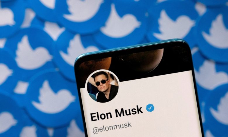 Elon Musk votes for ‘general amnesty’ for suspended Twitter accounts |  World news