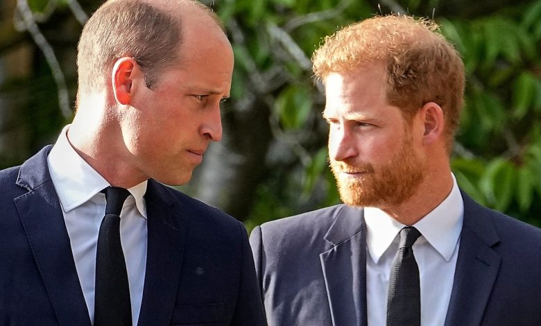 ‘Shock’: Prince Harry accused William of shouting, shouting at him when… |  World news