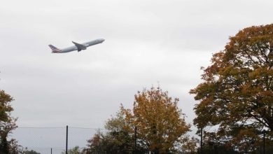 Glasgow Airport has been partially shut down after a suspicious object was found in a passenger bag  World news