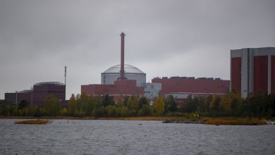 Bulgaria’s only nuclear power plant to die down reactor after coolant leak |  World news