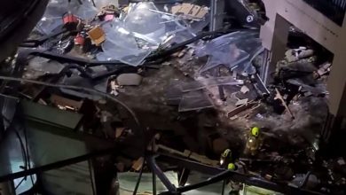 Berlin Aquarium with a million liters of water, 1,500 large, fish bursts |  Videos |  World news