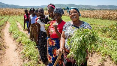 Zambia: Abolition of death penalty ‘an important event’