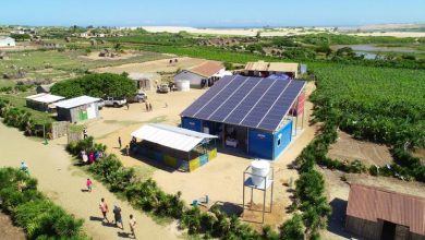 Madagascar: an innovative relief project offers hope for a sustainable future