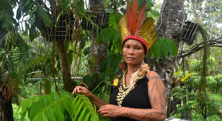 ‘We are not afraid’: Brazilian indigenous women rise up against gender violence