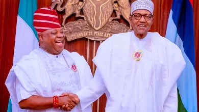 I Benefitted From Electoral Act, Adeleke Hails Buhari