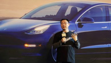 Who is Tom Zhu, known as Tesla’s No.2 after Elon Musk?  |  World news