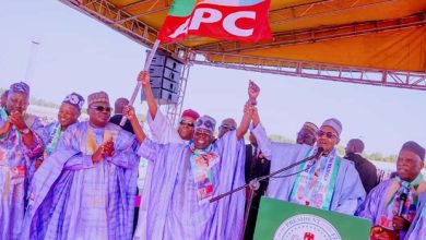 Tinubu’s Presidency Will Guarantee Progress, Buhari Assures Yobe Residents