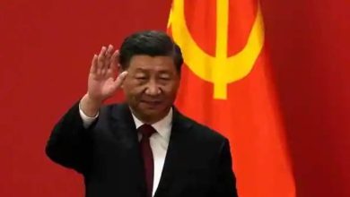 China’s masses take the Covid fight into their own hands as Xi sits back  World news