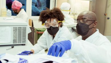 WHO supports Equatorial Guinea in combating the country’s first deadly Marburg virus outbreak