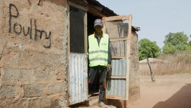 First Person: Hatching a plan for success in rural Gambia