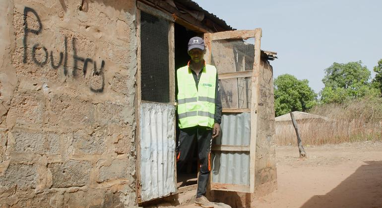 First Person: Hatching a plan for success in rural Gambia