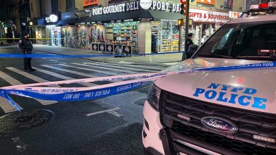 Three weeks on, Indian girl, 14, is still missing in the US  World news