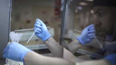 Australian citizen Suggun father donor over 60 kids.  This is how it is exposed |  World news