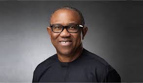 Peter Obi Is A Third Force But He Is Struggling -PDP Chieftain, Dele Momodu
