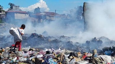 Haiti: Help experts to bring down terrorist violence, UN rights leader