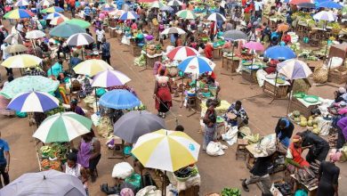 UN rights experts condemn Uganda’s ‘temporary’ LGBT regime