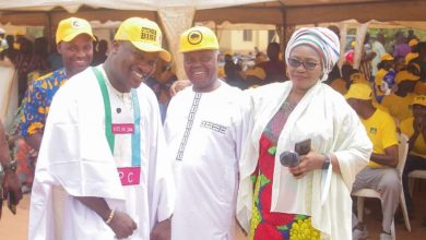 Opinion: APC Ipokia LG Leaders Must Be Commended, Not Condemned