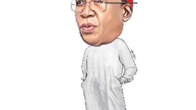 Ayu: Penny Wise, Pound Foolish!