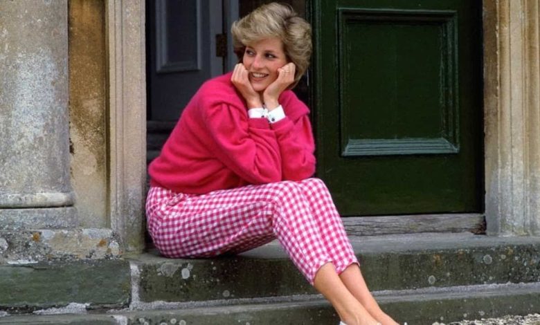 Princess Diana’s nickname is ‘inappropriate’, former royal press secretary says |  World news