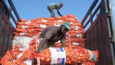 IMF downgrades global economic growth outlook as ‘slowing’