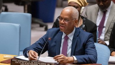 Mali: Civilians are paying the price as terrorist violence spreads, Security Council hears