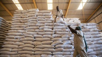 WFP chief suspends Sudan aid operations, following the death of three workers in the conflict