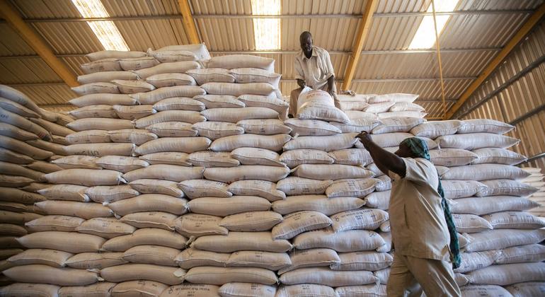 WFP chief suspends Sudan aid operations, following the death of three workers in the conflict