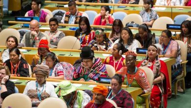 INVESTMENT: Indigenous knowledge can promote harmony with the Earth