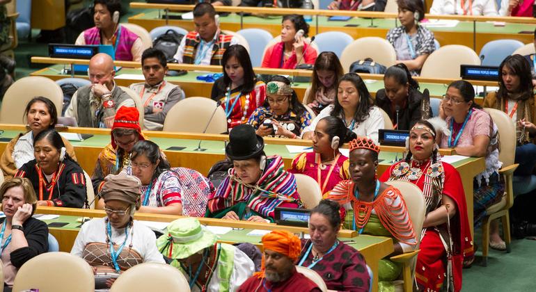 INVESTMENT: Indigenous knowledge can promote harmony with the Earth