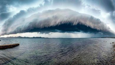 Human, economic, environmental costs of climate change on the rise: WMO