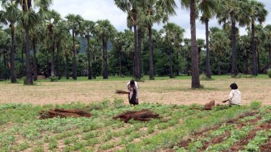 First Man: Why Indigenous People Can Help Save the Earth