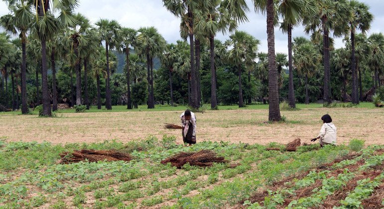 First Man: Why Indigenous People Can Help Save the Earth