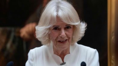 More battle royale?  Queen Consort Camilla vs Prince Harry: ‘Never mind what…’ |  World news