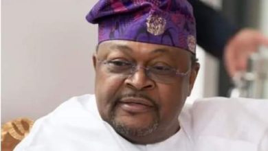 Dr. Mike Adenuga, A Gift To The World  -By Mayor Akinpelu