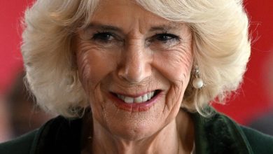This guest at King Charles’s pleasure will surprise you.  Camilla called him  World news