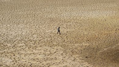 How does global warming cause drought in the Horn of Africa?  Research says… |  World news